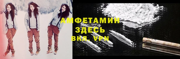 дмт Шали