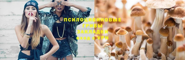 шишки Нягань