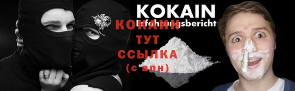шишки Нягань