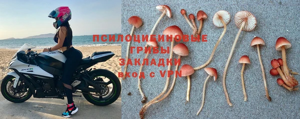 альфа пвп Дмитровск