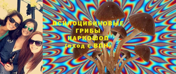 гашиш Дмитриев