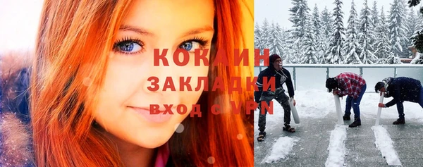 альфа пвп Дмитровск