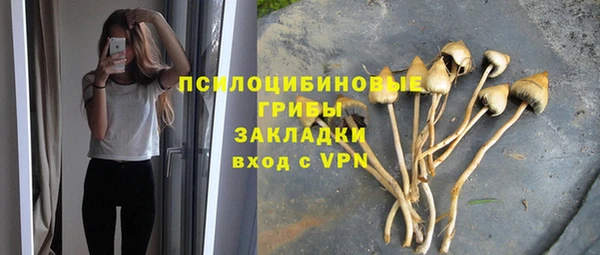 альфа пвп Дмитровск