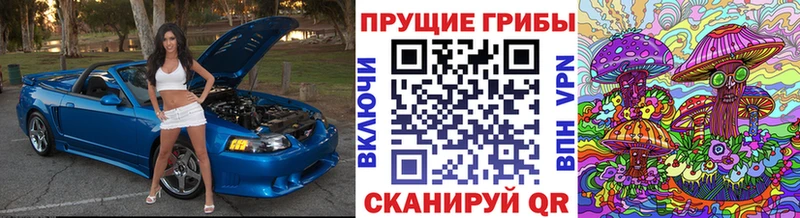 Галлюциногенные грибы Psilocybe Осинники