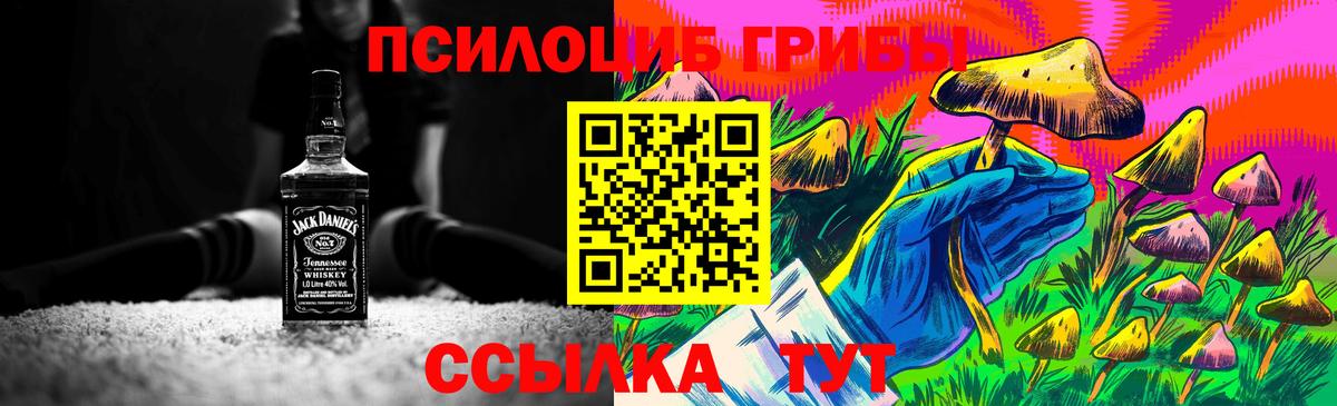 Псилоцибиновые грибы Psilocybe Осинники